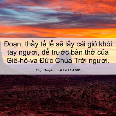 Picture 06 - Phục Truyền Luật Lệ 26:4 VIE - Đoạn, thầy tế lễ sẽ lấy cái giỏ - Bible Verse Picture