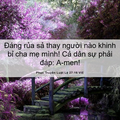 Picture 06 - Phục Truyền Luật Lệ 27:16 VIE - Đáng rủa sả thay người nào khinh bỉ - Bible Verse Picture