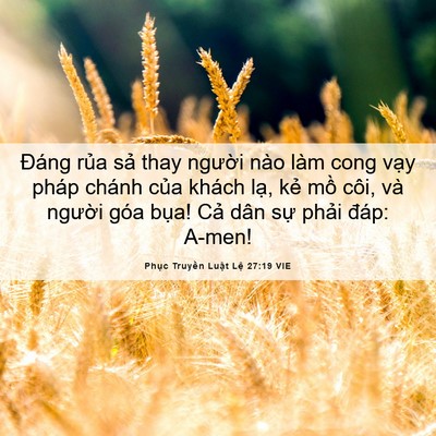 Picture 06 - Phục Truyền Luật Lệ 27:19 VIE - Đáng rủa sả thay người nào làm cong - Bible Verse Picture