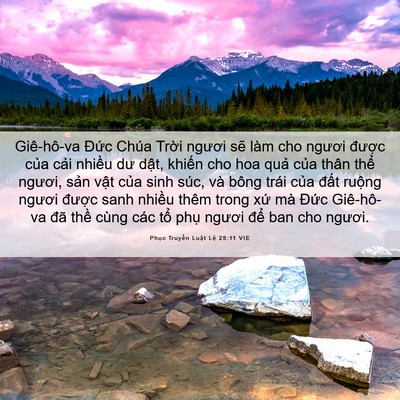 Picture 06 - Phục Truyền Luật Lệ 28:11 VIE - Giê-hô-va Đức Chúa Trời ngươi sẽ làm - Bible Verse Picture