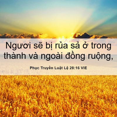 Picture 06 - Phục Truyền Luật Lệ 28:16 VIE - Ngươi sẽ bị rủa sả ở trong thành và - Bible Verse Picture