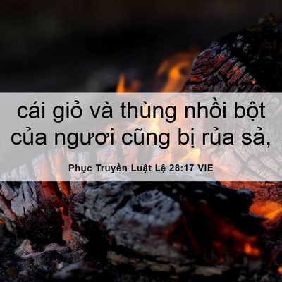 Picture 06 - Phục Truyền Luật Lệ 28:17 VIE - cái giỏ và thùng nhồi bột của ngươi - Bible Verse Picture