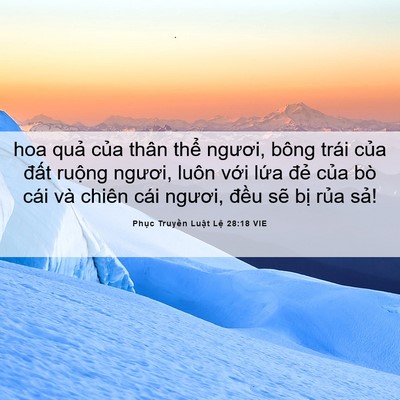 Picture 06 - Phục Truyền Luật Lệ 28:18 VIE - hoa quả của thân thể ngươi, bông trái - Bible Verse Picture