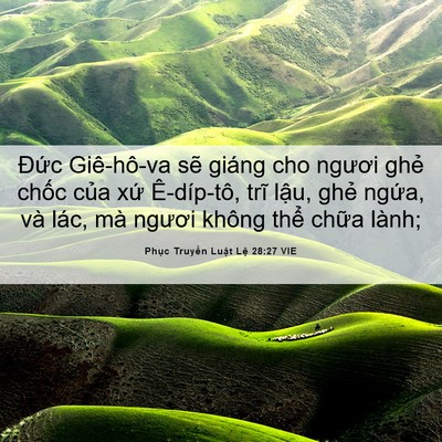 Picture 06 - Phục Truyền Luật Lệ 28:27 VIE - Đức Giê-hô-va sẽ giáng cho ngươi ghẻ - Bible Verse Picture