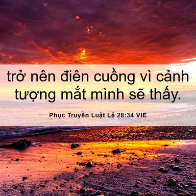 Picture 06 - Phục Truyền Luật Lệ 28:34 VIE - trở nên điên cuồng vì cảnh tượng - Bible Verse Picture
