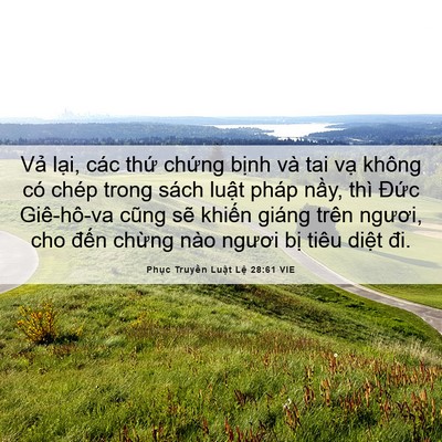 Picture 06 - Phục Truyền Luật Lệ 28:61 VIE - Vả lại, các thứ chứng bịnh và tai - Bible Verse Picture