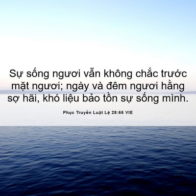Picture 06 - Phục Truyền Luật Lệ 28:66 VIE - Sự sống ngươi vẫn không chắc trước - Bible Verse Picture