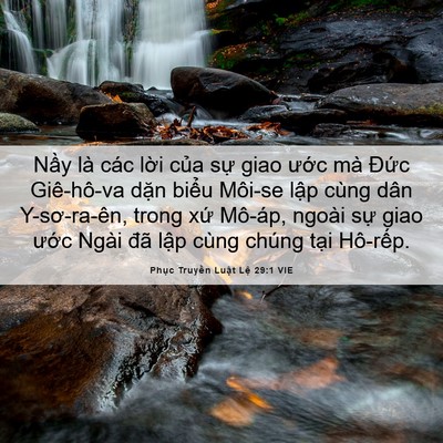 Picture 06 - Phục Truyền Luật Lệ 29:1 VIE - Nầy là các lời của sự giao ước mà - Bible Verse Picture