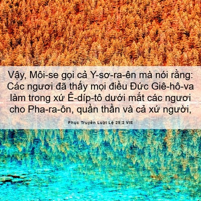 Picture 06 - Phục Truyền Luật Lệ 29:2 VIE - Vậy, Môi-se gọi cả Y-sơ-ra-ên mà nói - Bible Verse Picture
