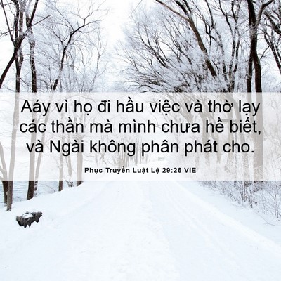 Picture 06 - Phục Truyền Luật Lệ 29:26 VIE - Aáy vì họ đi hầu việc và thờ lạy - Bible Verse Picture