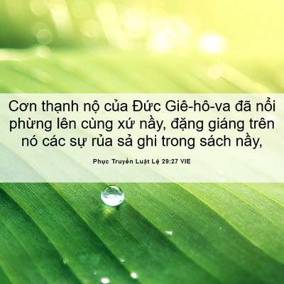 Picture 06 - Phục Truyền Luật Lệ 29:27 VIE - Cơn thạnh nộ của Đức Giê-hô-va đã - Bible Verse Picture
