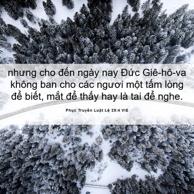 Picture 06 - Phục Truyền Luật Lệ 29:4 VIE - nhưng cho đến ngày nay Đức Giê-hô-va - Bible Verse Picture