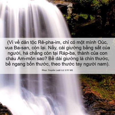 Picture 06 - Phục Truyền Luật Lệ 3:11 VIE - (Vì về dân tộc Rê-pha-im, chỉ có một - Bible Verse Picture