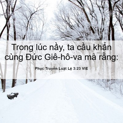 Picture 06 - Phục Truyền Luật Lệ 3:23 VIE - Trong lúc nầy, ta cầu khẩn cùng Đức - Bible Verse Picture