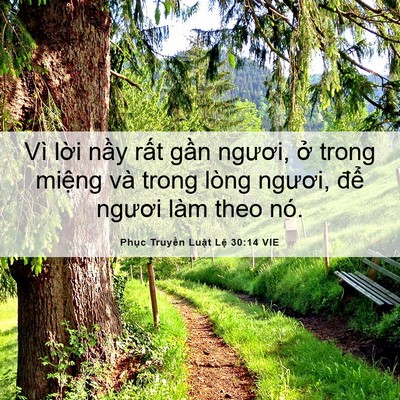 Picture 06 - Phục Truyền Luật Lệ 30:14 VIE - Vì lời nầy rất gần ngươi, ở trong - Bible Verse Picture