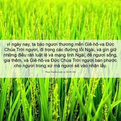 Picture 06 - Phục Truyền Luật Lệ 30:16 VIE - vì ngày nay, ta bảo ngươi thương mến - Bible Verse Picture
