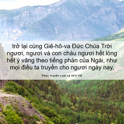 Picture 06 - Phục Truyền Luật Lệ 30:2 VIE - trở lại cùng Giê-hô-va Đức Chúa Trời - Bible Verse Picture
