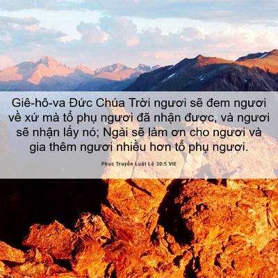 Picture 06 - Phục Truyền Luật Lệ 30:5 VIE - Giê-hô-va Đức Chúa Trời ngươi sẽ đem - Bible Verse Picture