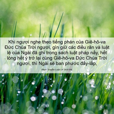 Picture 06 - Phục Truyền Luật Lệ 30:9 VIE - Khi ngươi nghe theo tiếng phán của - Bible Verse Picture