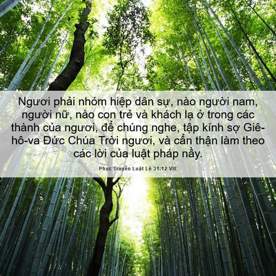 Picture 06 - Phục Truyền Luật Lệ 31:12 VIE - Ngươi phải nhóm hiệp dân sự, nào - Bible Verse Picture