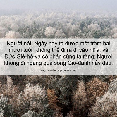 Picture 06 - Phục Truyền Luật Lệ 31:2 VIE - Người nói: Ngày nay ta được một trăm - Bible Verse Picture