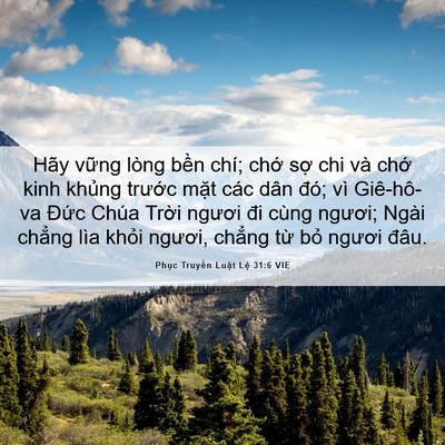 Picture 06 - Phục Truyền Luật Lệ 31:6 VIE - Hãy vững lòng bền chí; chớ sợ chi và - Bible Verse Picture