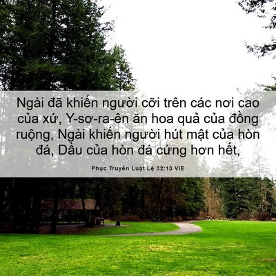 Picture 06 - Phục Truyền Luật Lệ 32:13 VIE - Ngài đã khiến người cỡi trên các nơi - Bible Verse Picture