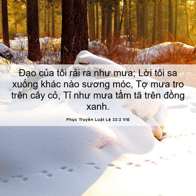 Picture 06 - Phục Truyền Luật Lệ 32:2 VIE - Đạo của tôi rải ra như mưa; Lời tôi - Bible Verse Picture