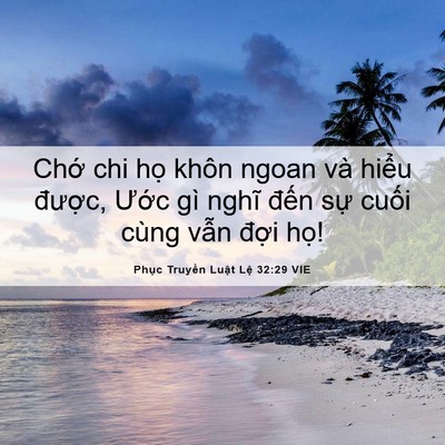 Picture 06 - Phục Truyền Luật Lệ 32:29 VIE - Chớ chi họ khôn ngoan và hiểu được, - Bible Verse Picture