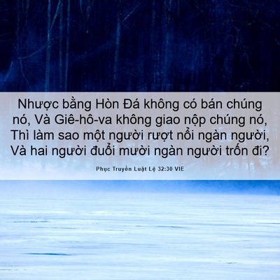 Picture 06 - Phục Truyền Luật Lệ 32:30 VIE - Nhược bằng Hòn Đá không có bán chúng - Bible Verse Picture