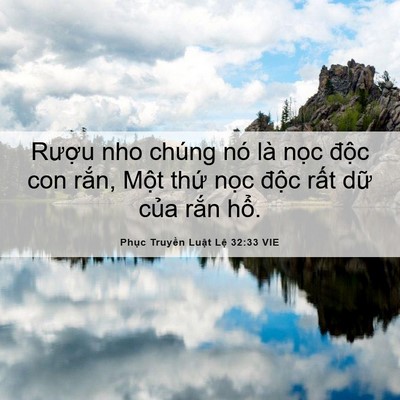 Picture 06 - Phục Truyền Luật Lệ 32:33 VIE - Rượu nho chúng nó là nọc độc con - Bible Verse Picture