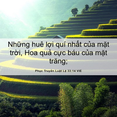 Picture 06 - Phục Truyền Luật Lệ 33:14 VIE - Những huê lợi quí nhất của mặt - Bible Verse Picture
