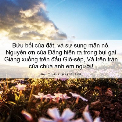 Picture 06 - Phục Truyền Luật Lệ 33:16 VIE - Bửu bối của đất, và sự sung mãn nó. - Bible Verse Picture