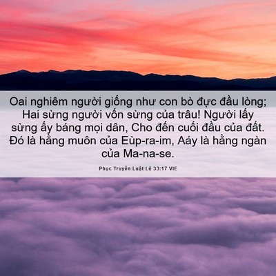 Picture 06 - Phục Truyền Luật Lệ 33:17 VIE - Oai nghiêm người giống như con bò đực - Bible Verse Picture
