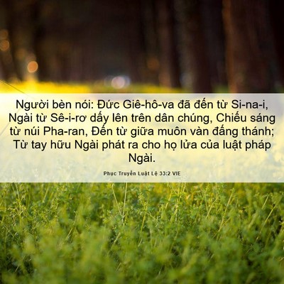 Picture 06 - Phục Truyền Luật Lệ 33:2 VIE - Người bèn nói: Đức Giê-hô-va đã - Bible Verse Picture