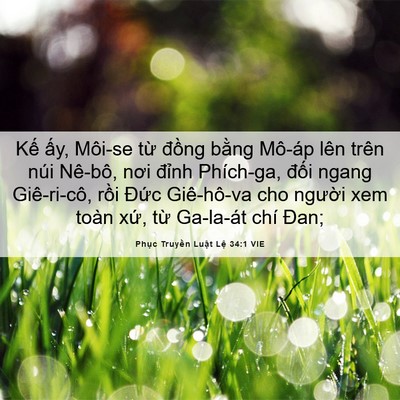 Picture 06 - Phục Truyền Luật Lệ 34:1 VIE - Kế ấy, Môi-se từ đồng bằng Mô-áp - Bible Verse Picture