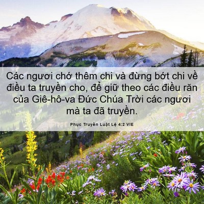 Picture 06 - Phục Truyền Luật Lệ 4:2 VIE - Các ngươi chớ thêm chi và đừng bớt - Bible Verse Picture