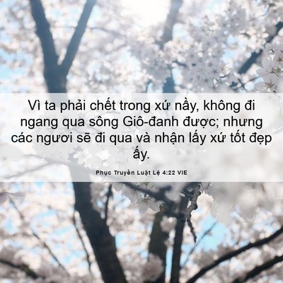 Picture 06 - Phục Truyền Luật Lệ 4:22 VIE - Vì ta phải chết trong xứ nầy, không đi - Bible Verse Picture