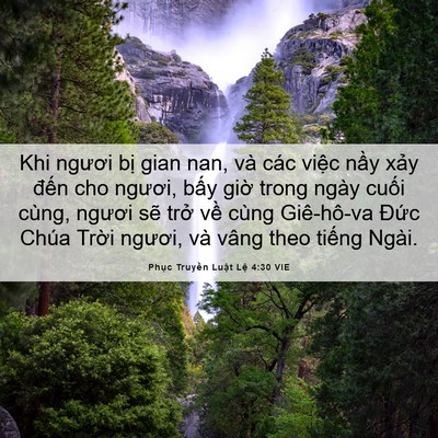 Picture 06 - Phục Truyền Luật Lệ 4:30 VIE - Khi ngươi bị gian nan, và các việc nầy - Bible Verse Picture