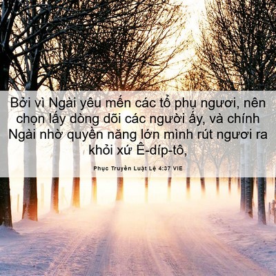 Picture 06 - Phục Truyền Luật Lệ 4:37 VIE - Bởi vì Ngài yêu mến các tổ phụ - Bible Verse Picture