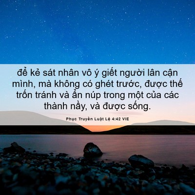 Picture 06 - Phục Truyền Luật Lệ 4:42 VIE - để kẻ sát nhân vô ý giết người lân - Bible Verse Picture
