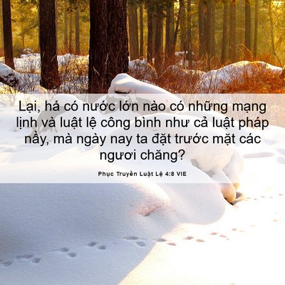 Picture 06 - Phục Truyền Luật Lệ 4:8 VIE - Lại, há có nước lớn nào có những - Bible Verse Picture