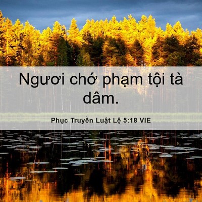 Picture 06 - Phục Truyền Luật Lệ 5:18 VIE - Ngươi chớ phạm tội tà - Bible Verse Picture