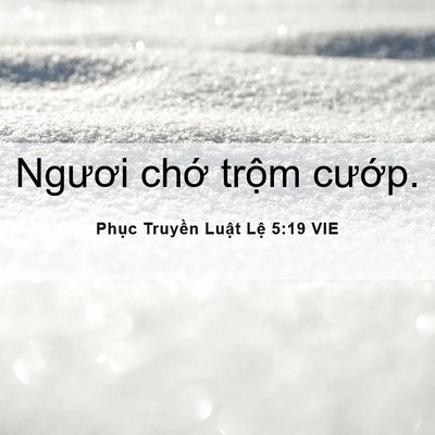 Picture 06 - Phục Truyền Luật Lệ 5:19 VIE - Ngươi chớ trộm - Bible Verse Picture