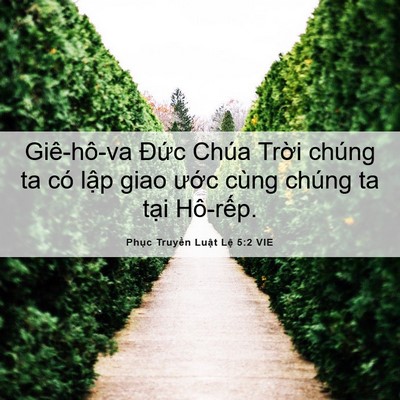 Picture 06 - Phục Truyền Luật Lệ 5:2 VIE - Giê-hô-va Đức Chúa Trời chúng ta có - Bible Verse Picture
