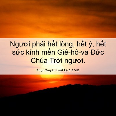 Picture 06 - Phục Truyền Luật Lệ 6:5 VIE - Ngươi phải hết lòng, hết ý, hết sức - Bible Verse Picture