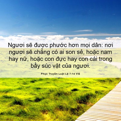 Picture 06 - Phục Truyền Luật Lệ 7:14 VIE - Ngươi sẽ được phước hơn mọi dân: - Bible Verse Picture