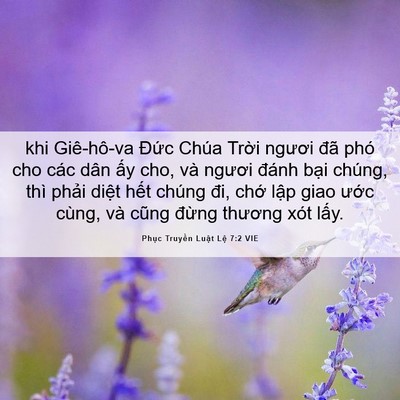 Picture 06 - Phục Truyền Luật Lệ 7:2 VIE - khi Giê-hô-va Đức Chúa Trời ngươi đã - Bible Verse Picture