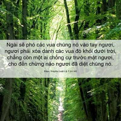 Picture 06 - Phục Truyền Luật Lệ 7:24 VIE - Ngài sẽ phó các vua chúng nó vào tay - Bible Verse Picture