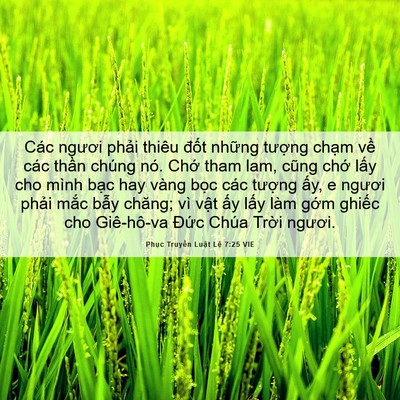Picture 06 - Phục Truyền Luật Lệ 7:25 VIE - Các ngươi phải thiêu đốt những - Bible Verse Picture